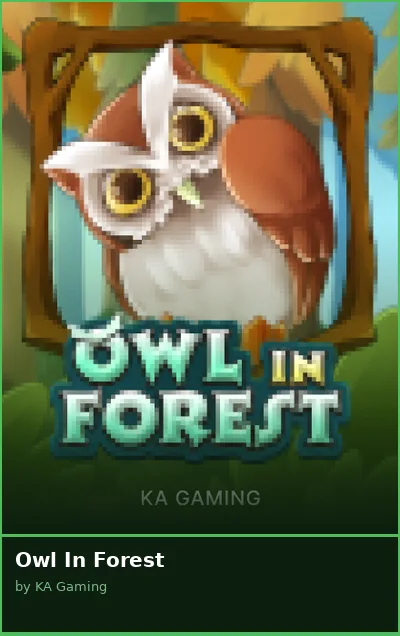 Owl In Forest