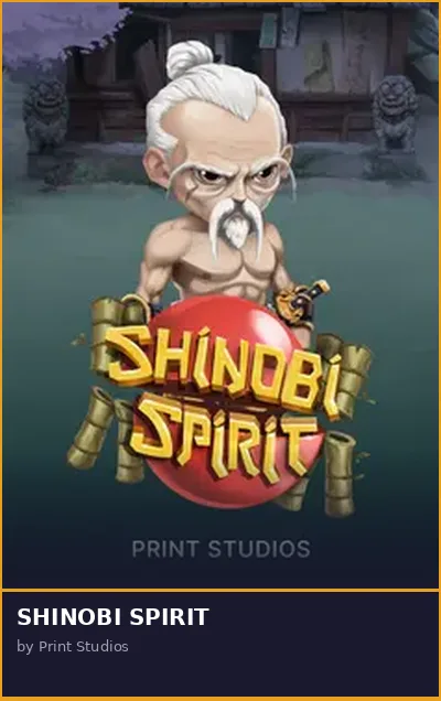 SHINOBI SPIRIT