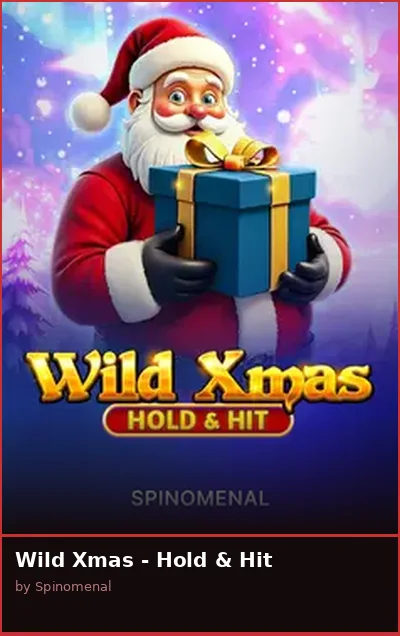 Wild Xmas - Hold   Hit