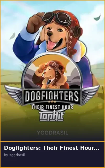 Dogfighters  Their Finest Hour TopHit